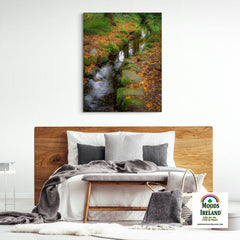 Canvas Wrap - Autumn Stream in Killarney National Park, County Kerry - James A. Truett - Moods of Ireland - Irish Art