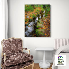 Canvas Wrap - Autumn Stream in Killarney National Park, County Kerry - James A. Truett - Moods of Ireland - Irish Art