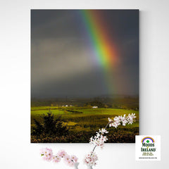 Canvas Wrap - Vibrant Rainbow over County Clare Countryside - James A. Truett - Moods of Ireland - Irish Art