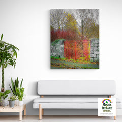 Canvas Wrap - Red Gate in Autumn, County Galway - James A. Truett - Moods of Ireland - Irish Art