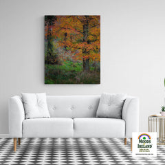 Canvas Wrap - Autumn Tree in Clondegad Wood, County Clare - James A. Truett - Moods of Ireland - Irish Art