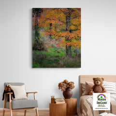 Canvas Wrap - Autumn Tree in Clondegad Wood, County Clare - James A. Truett - Moods of Ireland - Irish Art