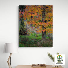 Canvas Wrap - Autumn Tree in Clondegad Wood, County Clare - James A. Truett - Moods of Ireland - Irish Art