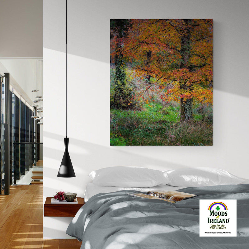 Canvas Wrap - Autumn Tree in Clondegad Wood, County Clare - James A. Truett - Moods of Ireland - Irish Art
