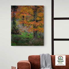 Canvas Wrap - Autumn Tree in Clondegad Wood, County Clare - James A. Truett - Moods of Ireland - Irish Art