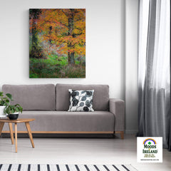 Canvas Wrap - Autumn Tree in Clondegad Wood, County Clare - James A. Truett - Moods of Ireland - Irish Art