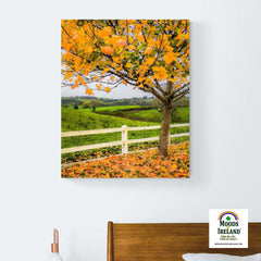 Canvas Wrap - Autumn Leaves in Ballynacally, County Clare - James A. Truett - Moods of Ireland - Irish Art