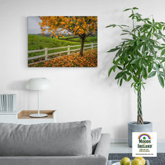 Canvas Wrap - Autumn in the Irish Countryside, County Clare Canvas Wrap Moods of Ireland 