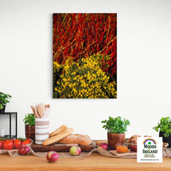 Canvas Wrap - Gorse Blooming with Dogwood in County Clare - James A. Truett - Moods of Ireland - Irish Art