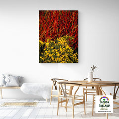 Canvas Wrap - Gorse Blooming with Dogwood in County Clare - James A. Truett - Moods of Ireland - Irish Art