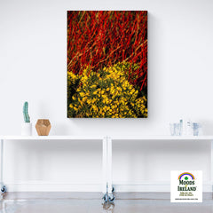 Canvas Wrap - Gorse Blooming with Dogwood in County Clare - James A. Truett - Moods of Ireland - Irish Art