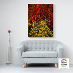 Canvas Wrap - Gorse Blooming with Dogwood in County Clare - James A. Truett - Moods of Ireland - Irish Art