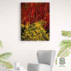 Canvas Wrap - Gorse Blooming with Dogwood in County Clare - James A. Truett - Moods of Ireland - Irish Art