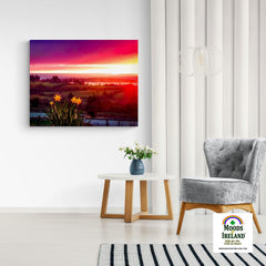 Canvas Wrap - Daffodil Sunrise in Crovraghan, County Clare, Ireland - James A. Truett - Moods of Ireland - Irish Art