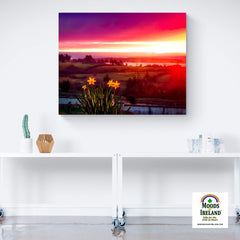 Canvas Wrap - Daffodil Sunrise in Crovraghan, County Clare, Ireland - James A. Truett - Moods of Ireland - Irish Art