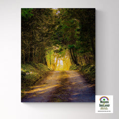 Canvas Wrap - Afternoon Sun on Irish Country Road, County Clare - James A. Truett - Moods of Ireland - Irish Art