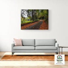 Canvas Wrap - Clondegad Country Road in Autumn Irish - James A. Truett - Moods of Ireland - Irish Art