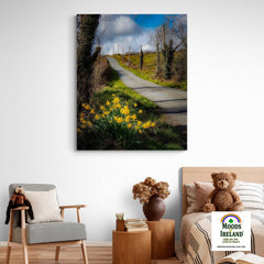 Canvas Wrap - Spring Daffodils under Blue Sky, County Clare - James A. Truett - Moods of Ireland - Irish Art