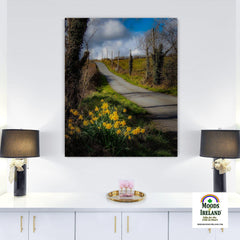 Canvas Wrap - Spring Daffodils under Blue Sky, County Clare - James A. Truett - Moods of Ireland - Irish Art