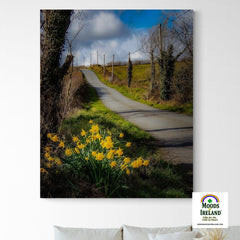 Canvas Wrap - Spring Daffodils under Blue Sky, County Clare - James A. Truett - Moods of Ireland - Irish Art