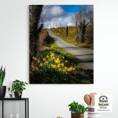 Canvas Wrap - Spring Daffodils under Blue Sky, County Clare - James A. Truett - Moods of Ireland - Irish Art