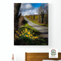 Canvas Wrap - Spring Daffodils under Blue Sky, County Clare - James A. Truett - Moods of Ireland - Irish Art