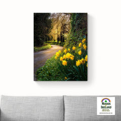 Canvas Wrap - Irish Spring Country Road, County Clare - James A. Truett - Moods of Ireland - Irish Art