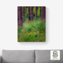 Canvas Wrap - Portumna Forest Park Paradise in County Galway - James A. Truett - Moods of Ireland - Irish Art