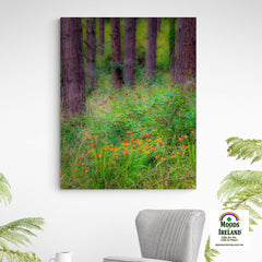 Canvas Wrap - Portumna Forest Park Paradise in County Galway - James A. Truett - Moods of Ireland - Irish Art
