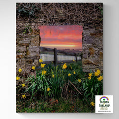 Canvas Wrap - Daffodil Sunrise in the Irish Countryside - James A. Truett - Moods of Ireland - Irish Art