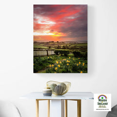 Canvas Wrap - 2017 Spring Sunrise over Shannon Estuary - James A. Truett - Moods of Ireland - Irish Art