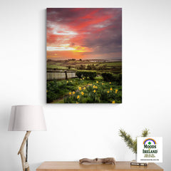 Canvas Wrap - 2017 Spring Sunrise over Shannon Estuary - James A. Truett - Moods of Ireland - Irish Art