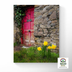 Canvas Wrap - Daffodils Outside Irish Cottage, Kilrush, County Clare - James A. Truett - Moods of Ireland - Irish Art