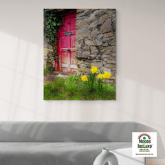 Canvas Wrap - Daffodils Outside Irish Cottage, Kilrush, County Clare - James A. Truett - Moods of Ireland - Irish Art