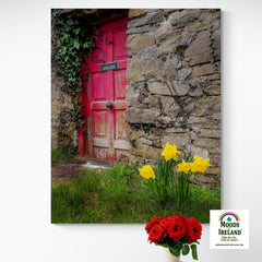 Canvas Wrap - Daffodils Outside Irish Cottage, Kilrush, County Clare - James A. Truett - Moods of Ireland - Irish Art