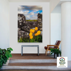 Canvas Wrap - County Galway Tulips Nature - James A. Truett - Moods of Ireland - Irish Art