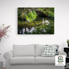 Canvas Wrap - Wild Swan at Ireland's Doneraile Park - James A. Truett - Moods of Ireland - Irish Art