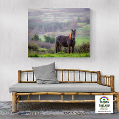 Canvas Wrap - Horse in the Irish Mist, County Clare - James A. Truett - Moods of Ireland - Irish Art