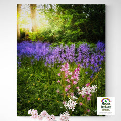 Canvas Wrap - Bluebells of Kilrush, County Clare, Ireland - James A. Truett - Moods of Ireland - Irish Art