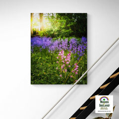 Canvas Wrap - Bluebells of Kilrush, County Clare, Ireland - James A. Truett - Moods of Ireland - Irish Art