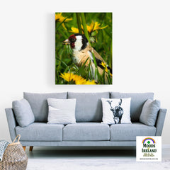 Canvas Wrap - Irish Goldfinch, County Clare - James A. Truett - Moods of Ireland - Irish Art