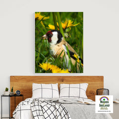 Canvas Wrap - Irish Goldfinch, County Clare - James A. Truett - Moods of Ireland - Irish Art