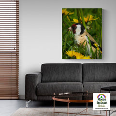 Canvas Wrap - Irish Goldfinch, County Clare - James A. Truett - Moods of Ireland - Irish Art