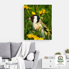 Canvas Wrap - Irish Goldfinch, County Clare - James A. Truett - Moods of Ireland - Irish Art