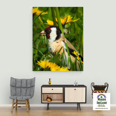 Canvas Wrap - Irish Goldfinch, County Clare - James A. Truett - Moods of Ireland - Irish Art