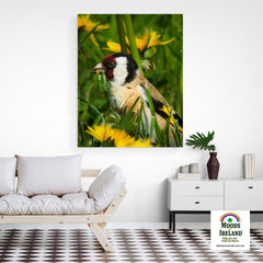 Canvas Wrap - Irish Goldfinch, County Clare - James A. Truett - Moods of Ireland - Irish Art