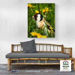 Canvas Wrap - Irish Goldfinch, County Clare - James A. Truett - Moods of Ireland - Irish Art