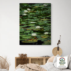 Canvas Wrap - Water Lilies on Dromoland Lough, County Clare - James A. Truett - Moods of Ireland - Irish Art