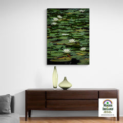 Canvas Wrap - Water Lilies on Dromoland Lough, County Clare - James A. Truett - Moods of Ireland - Irish Art