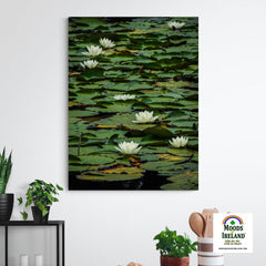 Canvas Wrap - Water Lilies on Dromoland Lough, County Clare - James A. Truett - Moods of Ireland - Irish Art